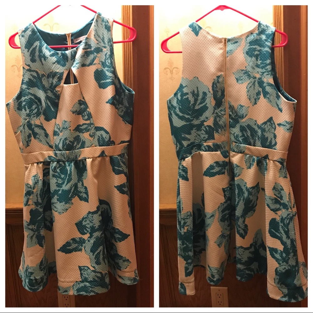 Danny and Nicole Printed Dress